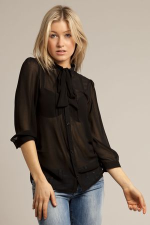 Download this Sheer Black Blouse picture